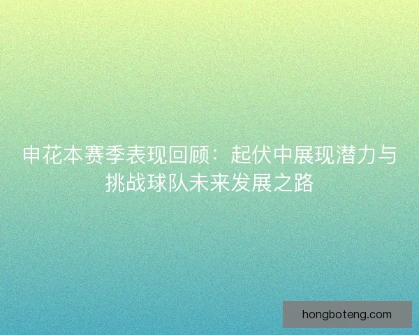 申花本赛季表现回顾：起伏中展现潜力与挑战球队未来发展之路